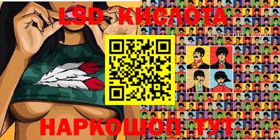 крисы Шахты